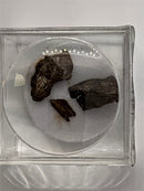Meteorites Campo Del Cielo in a Magnifier Cube From 0.83 Grams - 3.87 Grams - The Periodic Element Guys