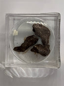 Meteorites Campo Del Cielo in a Magnifier Cube From 0.83 Grams - 3.87 Grams - The Periodic Element Guys