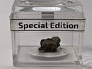 Meteorites Campo Del Cielo in a Magnifier Cube From 0.83 Grams - 3.87 Grams - The Periodic Element Guys