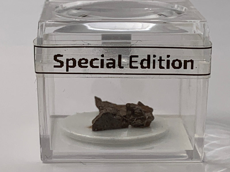 Meteorites Campo Del Cielo in a Magnifier Cube From 0.83 Grams - 3.87 Grams - The Periodic Element Guys
