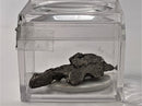 Meteorites Campo Del Cielo in a Magnifier Cube From 0.83 Grams - 3.87 Grams - The Periodic Element Guys