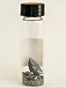 10 Grams of pure 99.999% Tellurium Crystal Pieces in our new "Stand Tall" Glass Vials. - The Periodic Element Guys